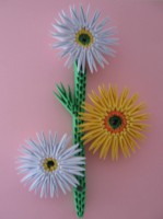 /album/galleria-foto1/immagine-354-jpg1/